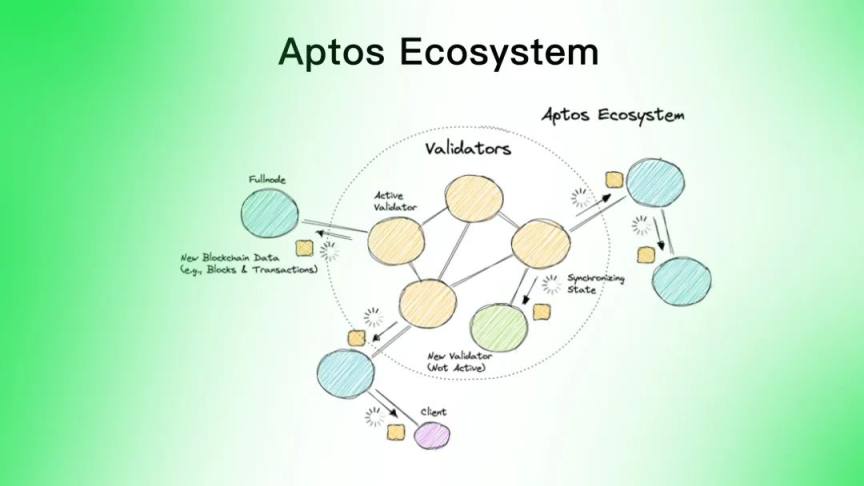 Aptos 是资本推动的又一个 Solana 吗？
