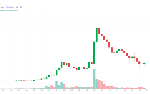 被嫌弃的币安上币组，竟连赵长鹏都看不下去了？